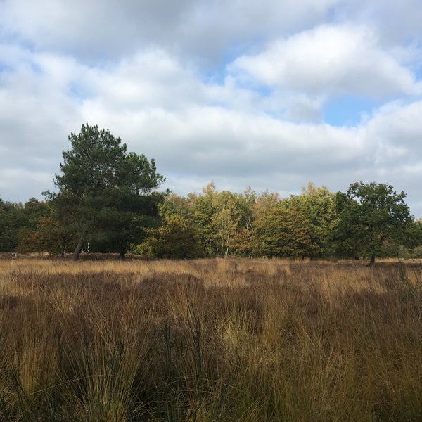 Photos At Bank Aan Vijver Kesselse Heide Now Closed Lake In Nijlen