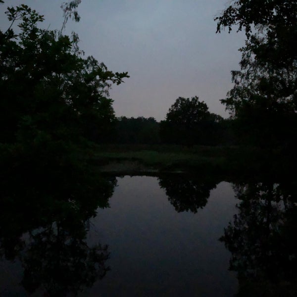 Photos At Bank Aan Vijver Kesselse Heide Now Closed Lake In Nijlen