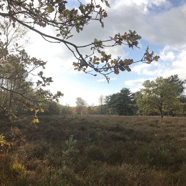 Photos At Bank Aan Vijver Kesselse Heide Now Closed Lake In Nijlen