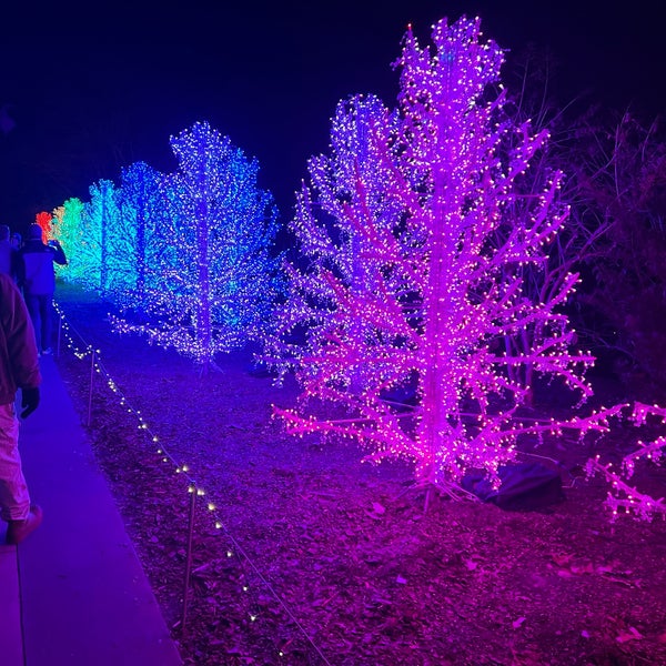 Good all year, but go for the Garden Lights exhibition at Christmas. Get tix early & beware traffic to get in.