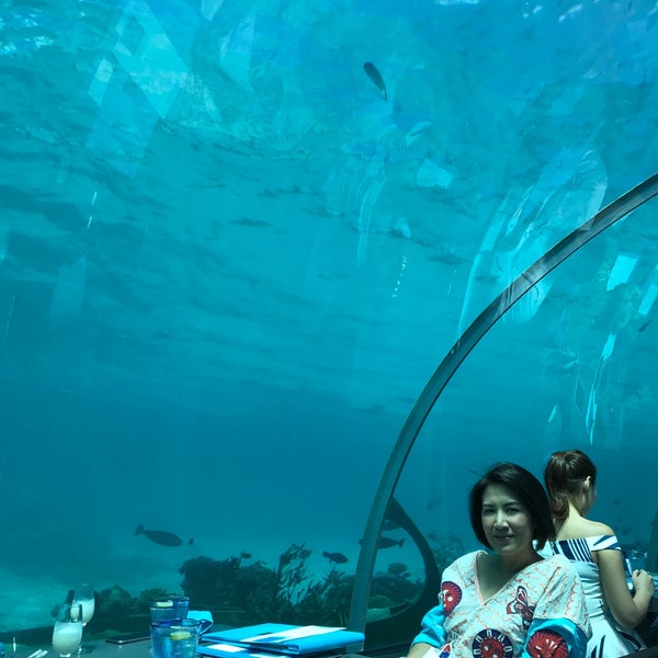 Ресторан 5 8 Undersea Restaurant