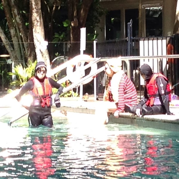 Green Island Pool Hotel Pool in Green Island QLD