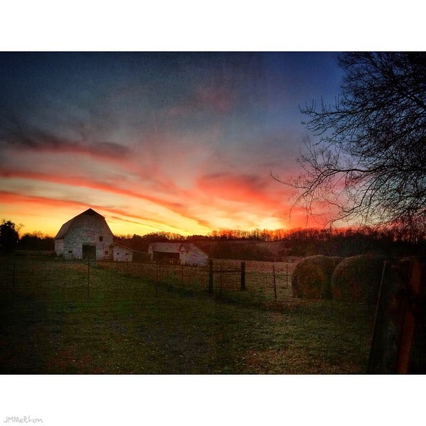 Back Page Cleveland Tn
