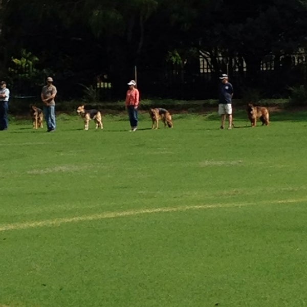 Goldfields Kennel Club Pet Service in Bedfordview