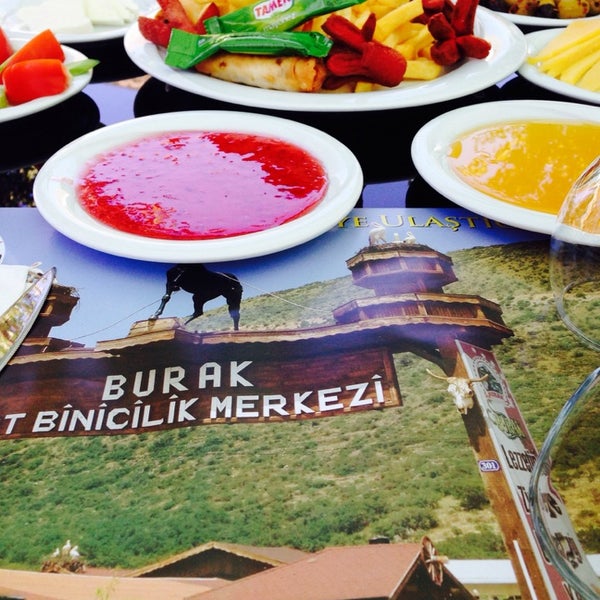 burak at ciftligi kayseri de ciftlik
