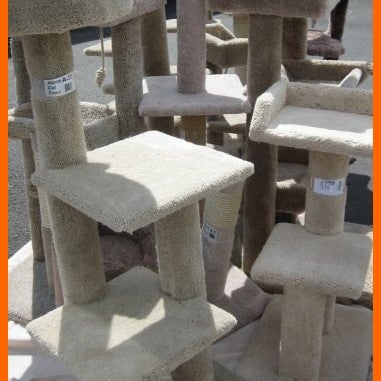 Interested in getting a cat tree for your furry family members? We've always got a few in stock, and we can special order the perfect tree that you and your cats will love!