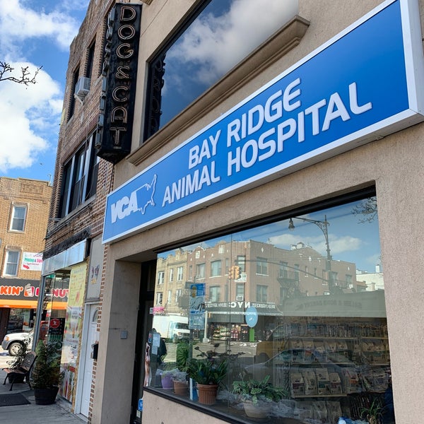 Bay Ridge Animal Hospital - Bay Ridge - 6803 5th Ave