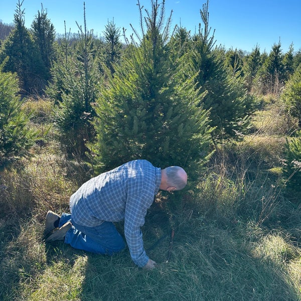 St Pauls Abbey Tree Farm Newton, NJ