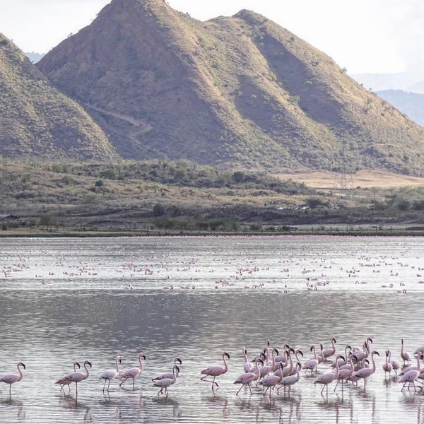 Lake Elementaita Lake