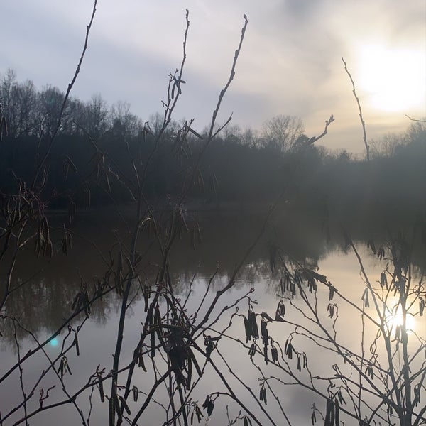 Photo taken at Anne Springs Close Greenway by Rachel A. on 12/28/2019