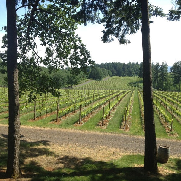 Foto diambil di Vista Hills Vineyard &amp; Winery oleh Umi Hashitsume F. pada 5/14/2013
