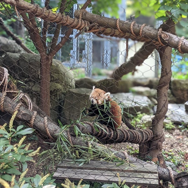Снимок сделан в Philadelphia Zoo пользователем Michelle R. 9/17/2022
