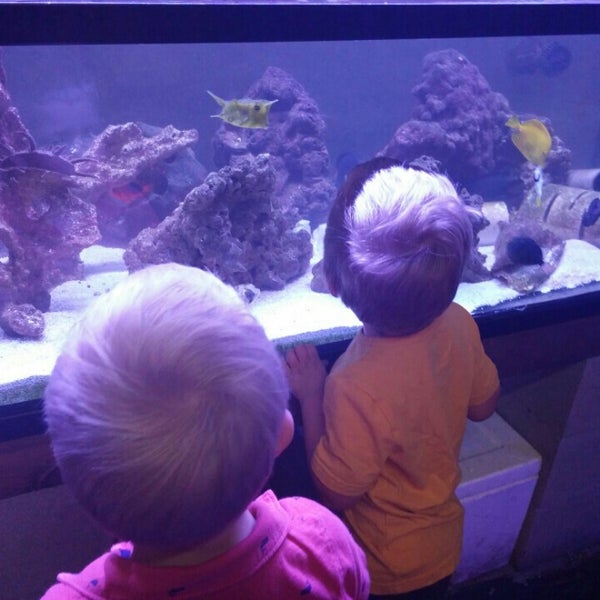 Austin AquaDome South Lamar Austin, TX