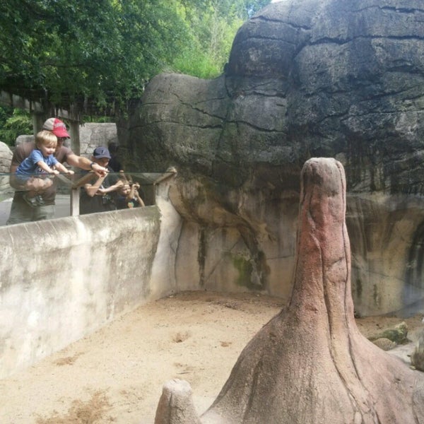 4/15/2017にKelly G.がCameron Park Zooで撮った写真