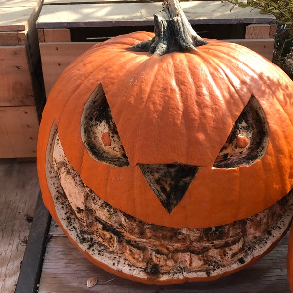 Photo taken at Linvilla Orchards by Carol D. on 10/31/2018
