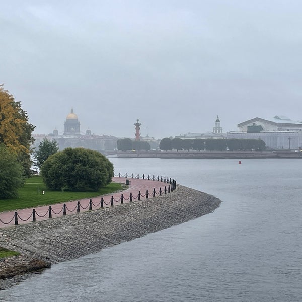 Кронверкский пролив вид сверху