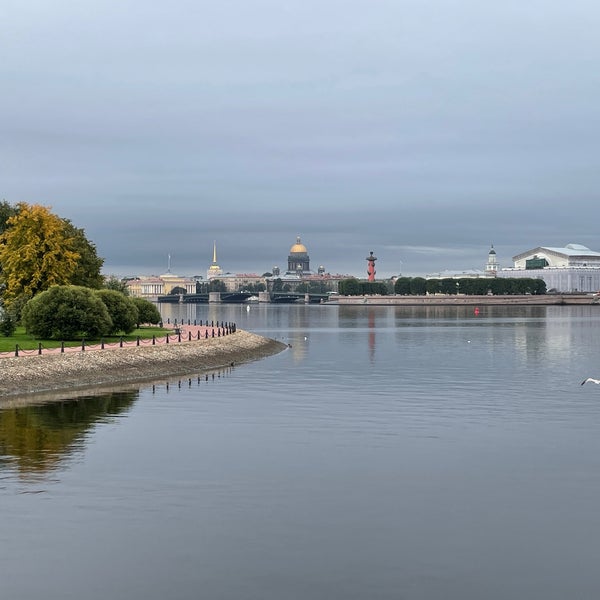 Кронверкский пролив вид сверху
