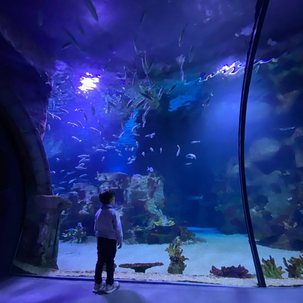 Photo taken at Funtastic Aquarium İzmir by Tahsin A. on 4/3/2023