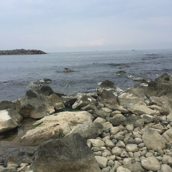 10/20/2019 tarihinde Filiz A.ziyaretçi tarafından KTÜ Sahil Tesisleri'de çekilen fotoğraf