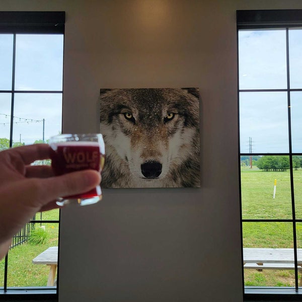 Foto scattata a Wolf Brewing Co. da Gerry D. il 6/11/2022