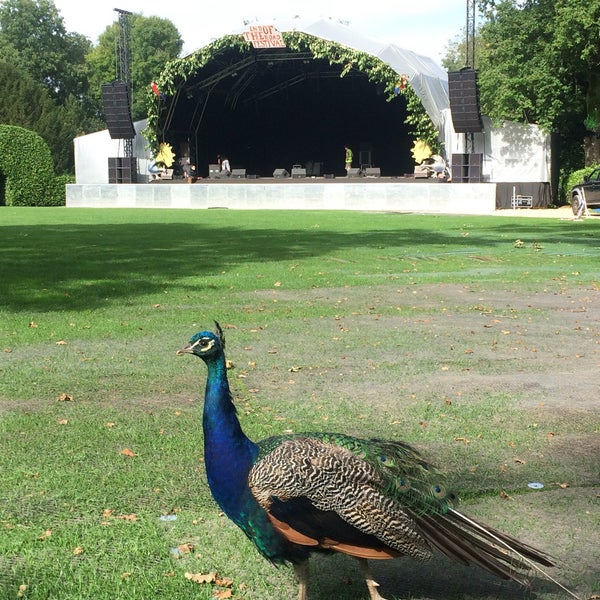Larmer animal information