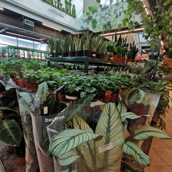 Home & Garden Nursery , Kuwait Garden Center in الري