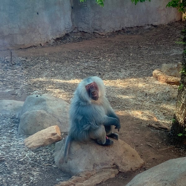 Photo taken at Honolulu Zoo by jansen c. on 10/26/2021