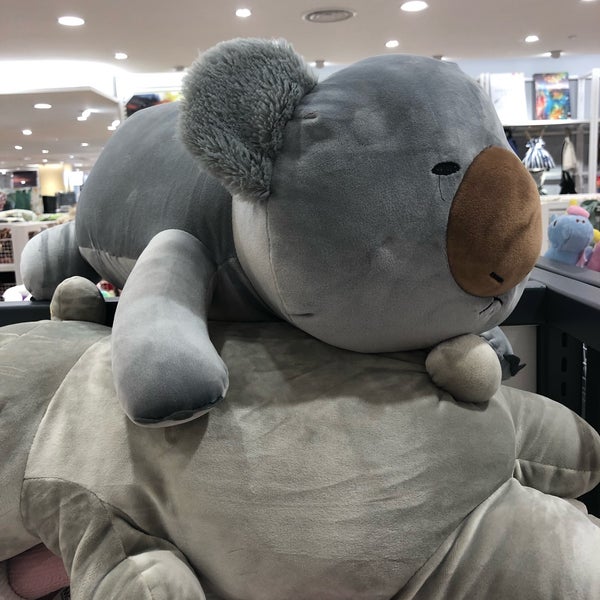 kaison teddy bear