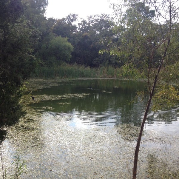Photo taken at LCRA Lake Bastrop South Shore Park by Erin M. on 10/26/2013