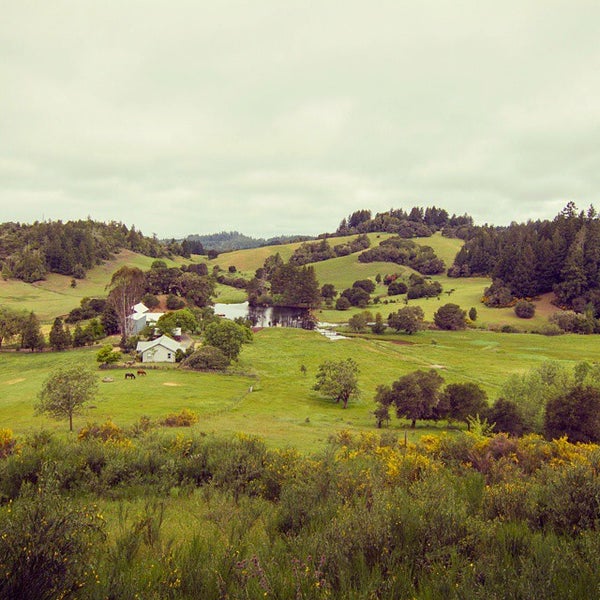 Photos at Red Car Winery 21 tips