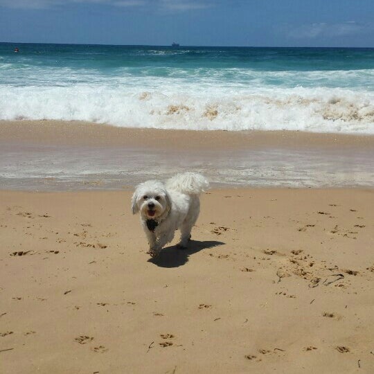 Beach off. Beach off. Beach off. Beach off. Qos пляж.