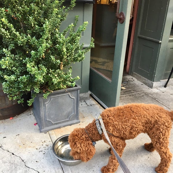 รูปภาพถ่ายที่ The Grey Dog - West Village โดย Rachel K. เมื่อ 8/30/2017