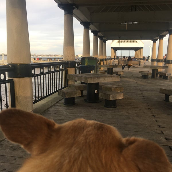 Charleston Pier Swings Downtown Charleston 10 tips