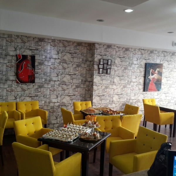 кафе кошки великий новгород