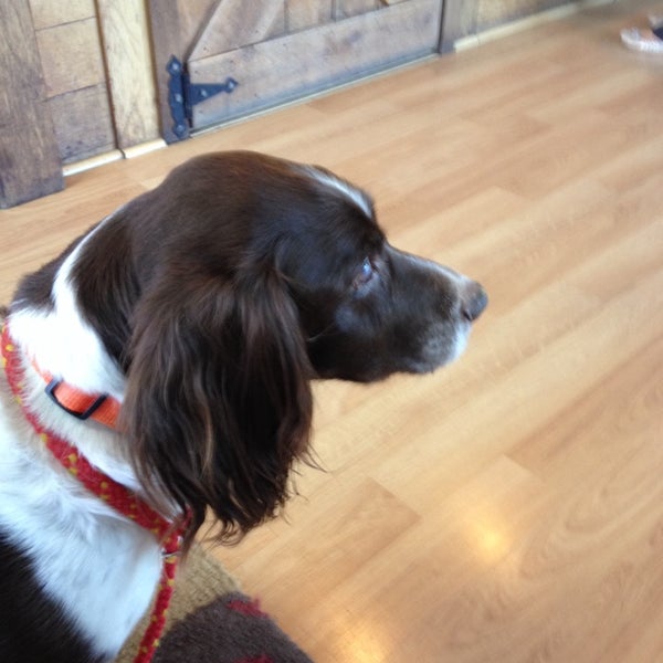 Larkspur Landing Veterinary Hospital Larkspur Landing Circle