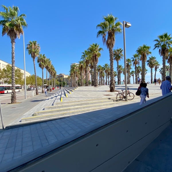 Almuerzo en La Barceloneta