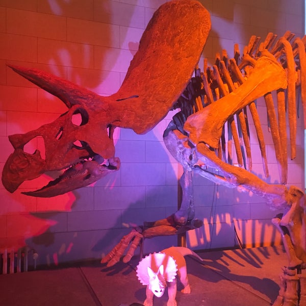 Photo taken at Museum of Natural Sciences by Marie S. on 1/5/2019