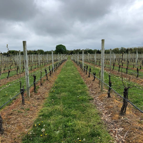 Sparkling Pointe Vineyards Winery