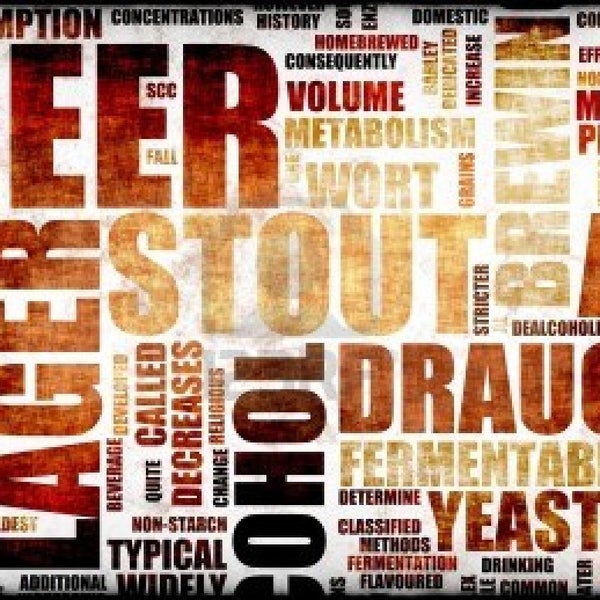 What's your Style? On Saturday 3/1/14 from 12p-3p we are hosting a style tasting. Sample 32 Beers from 4 styles: Stout, Porter, Hefeweiss and IPA. As always a donation will be accepted at the door.