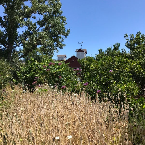 7/29/2019にTony C.がFrog&#39;s Leap Wineryで撮った写真