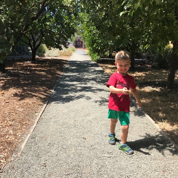 7/29/2019 tarihinde Tony C.ziyaretçi tarafından Frog&#39;s Leap Winery'de çekilen fotoğraf