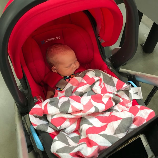 costco uppababy