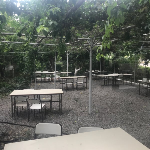 Yıldız Mangal Piknik Aliağa, İzmir