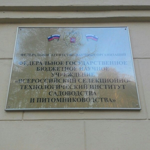 Нии Садоводства В Бирюлево Питомник Саженцы Цена