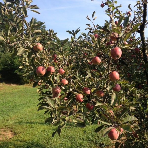 Photos At Red Apple Barn Ellijay Ga