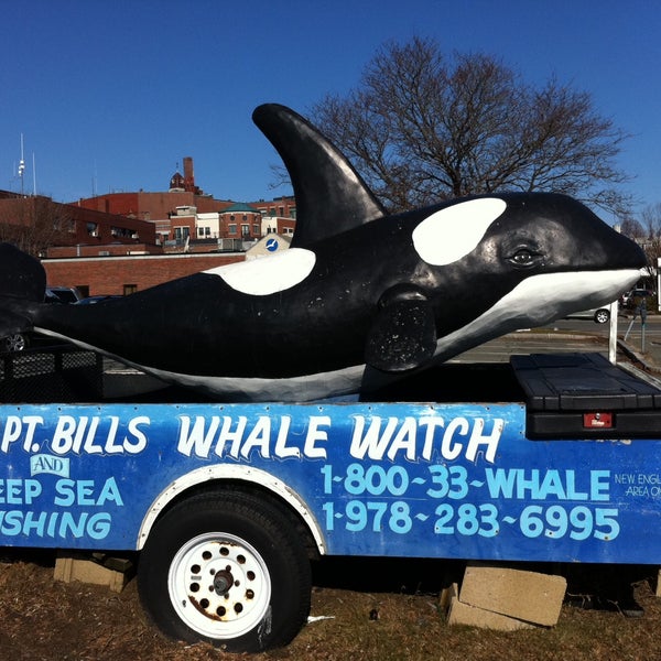 7/23/2013 tarihinde Capt. Bill &amp; Sons  Whale watchziyaretçi tarafından Capt. Bill &amp; Sons  Whale watch'de çekilen fotoğraf