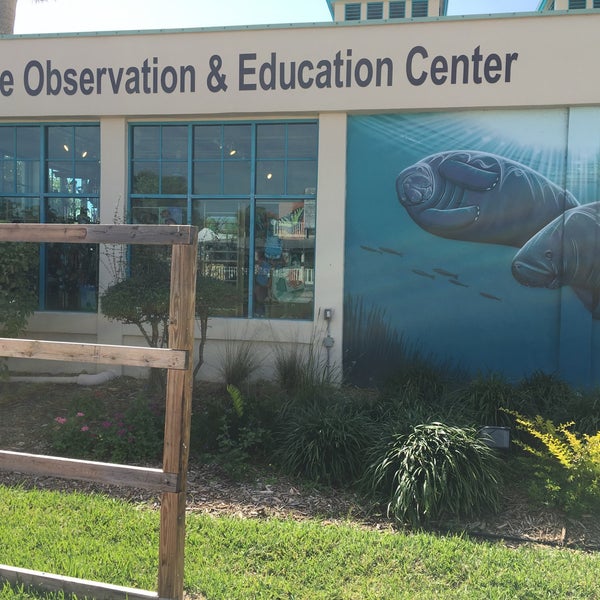 Photo taken at Manatee Observation &amp; Education Center by David S. on 3/25/2017