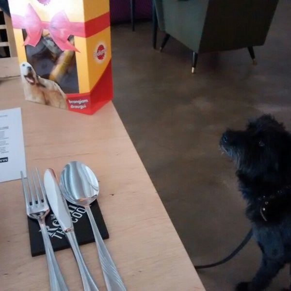 A very pet friendly place, although the food is casual. ) 