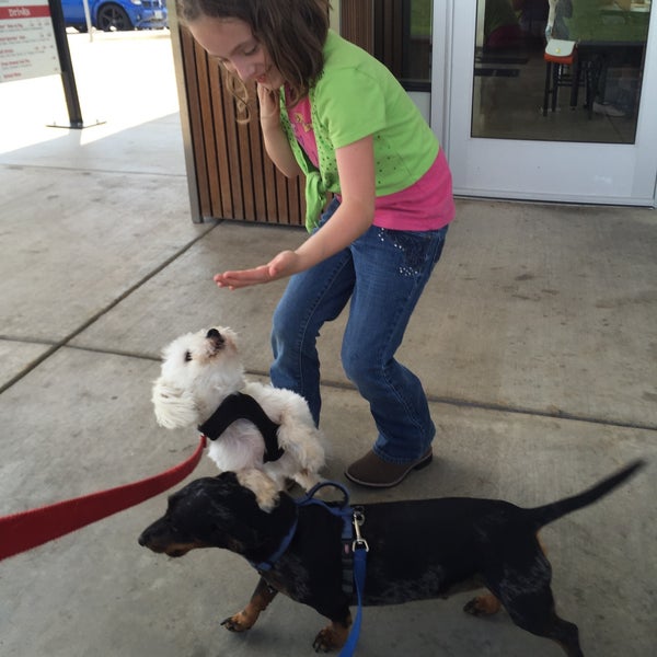 Andy's Frozen Custard Joplin, MO
