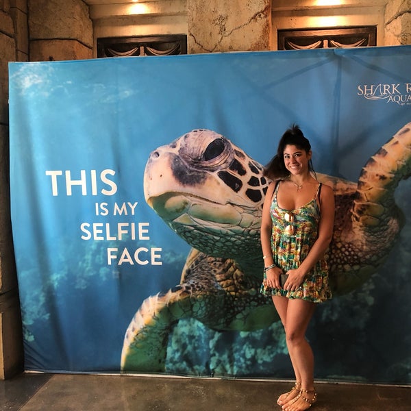 6/26/2019にMike H.がShark Reef Aquariumで撮った写真
